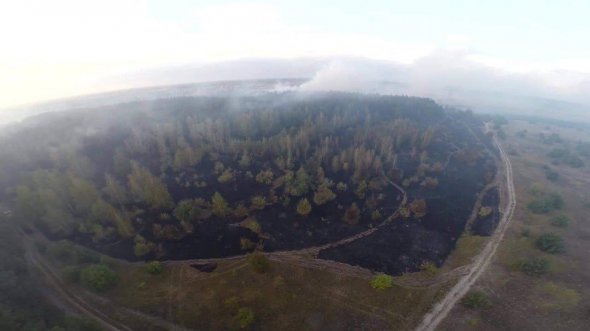 Лесной пожар в Новосанжарском районе Полтавской, который тушили с самолетов