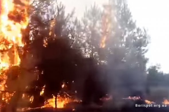 Неподалік аеропорту Бориспіль відпочивальники влаштували масштабну пожежу