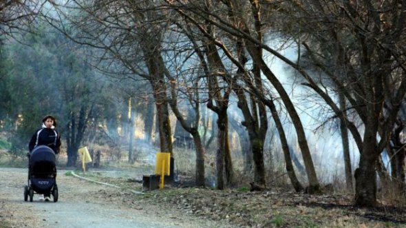 Небезпека спалювання листя: як переконати відмовитись від цього