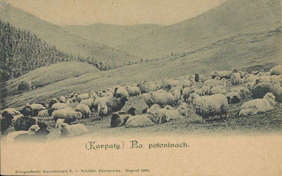 Показали фото, зроблені в карпатах на початку XX ст.