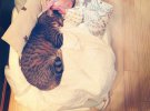 Под такой защитой за безопасность малыша можно не бояться.