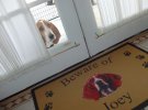 Хочешь-не хочешь, а впустить придется.