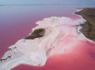 Влітку вода у цих водоймах має рожевий колір через спеціальні мікроводорості