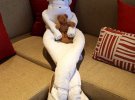 Пользователи делятся своими фото смешных фигур с полотенец в отелях