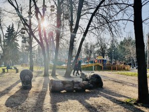 У Запоріжжі в лікарні померла 8-річна дівчинка, на яку в парку впала дерев’яна скульптура