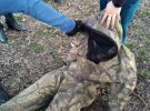 Подозреваемые в убийстве 25-летней Анастасии Слуховой из поселка Высокий Вал в Харьковской области признались в еще одном убийстве. Еще одной жертвой был 46-летний знакомый. Его убили и утопили в реке в 50 м от месяца до убийства Анастасии