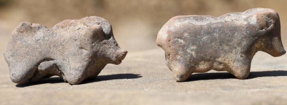 У Польщі знайшли давні статуетки у вигляді свиней.