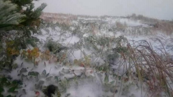 На горе Поп Иван выпал первый снег. Фото: Укргидрометцентр