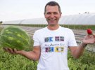 Богдан Лутчин встановив іспанські теплиці і збирає полуницю до морозів