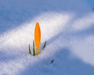 Опади та вітер: синоптики дали прогноз на найближчі дні