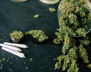 Как купить марихуану в интернете фото конопли пустоцвет