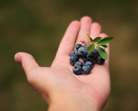 Народные приметы 20 июля - запреты, традиции, обычаи - Vimarsana News