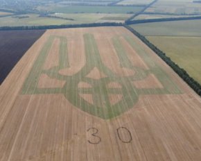 Національний рекорд: до Дня Незалежності фермери викосили масштабний герб на полі