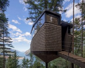 Фантазія вражає: готель на дереві відкриває казковий краєвид на затоку