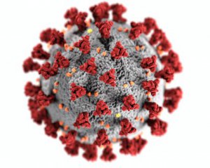 У ВООЗ пояснили, чому з&#039;являються нові штами коронавірусу