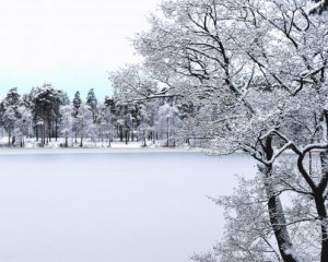 Прогноз погоды на 5 декабря: в некоторых областях Украины ожидается мокрый снег с дождем