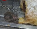 Миша у вітрині київського кафе насолоджувалася струдлем: відео трапези