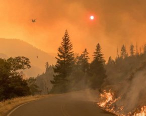 Рекордные торнадо в США, жара в Европе и пожары в России: какими были наибольшие природные катастрофы года