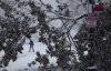 Канадою та США пронісся потужний сніговий шторм: є жертви