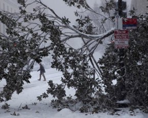 Канадою та США пронісся потужний сніговий шторм