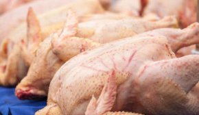Євросоюз дозволив імпорт української курятини