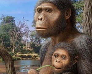 Учені знайшли найбільшого предка людини