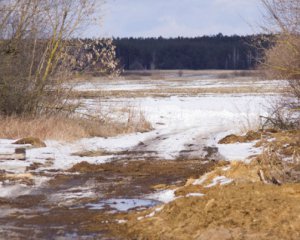 У полі знайшли обгоріле тіло жінки