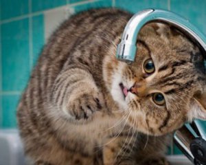 В Киеве откажутся от хлорирования воды