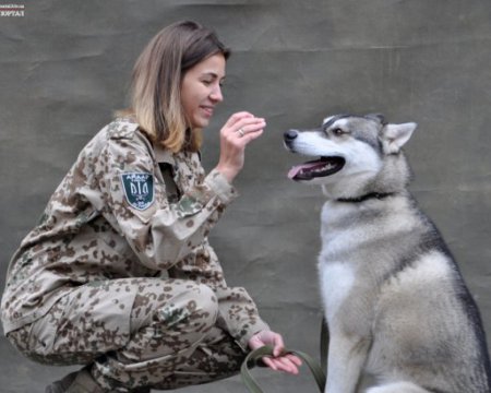 Lviv Voyini Ato Znyalis V Blagodijnij Fotosesiyi Z Bezpritulnimi Sobakami Novini Na Gazeta Ua