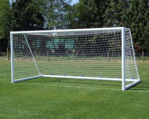   Saved from shame: the dog withdrew the ball instead of the goalkeeper 