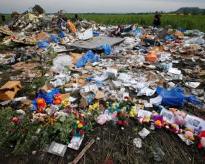   Nearly all relatives of the victims of the MH17 tragedy joined a collective action against Putin 