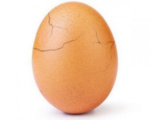   The Mystery of the Egg - The Instagram Record Holder 