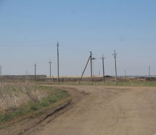 У районі закривають молочні ферми - розповіли причини