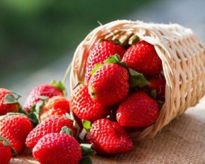 Сезон клубники: сколько стоит отечественная ягода