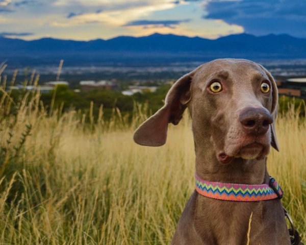 Демотивация и відеодемотиватори
