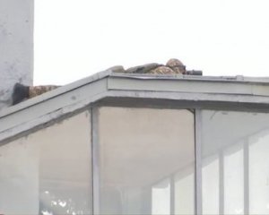 Установили особу "мінувальника" столичного мосту Метро