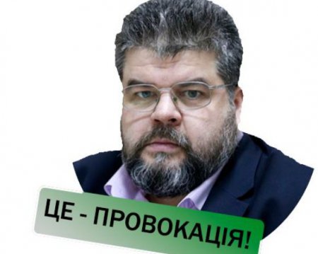 Нардеп "Голоса" Устинова внесла в декларацию "собаку-тапки-погрызяку" и "котика-муркотика" - Цензор.НЕТ 3433