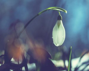 Яка погода буде на 8 березня