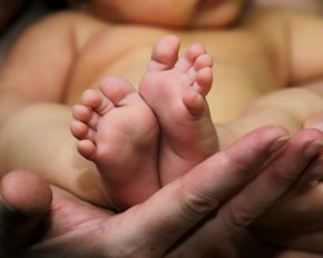 Дети на продажу: в отеле держат младенцев, которых родили для иностранцев