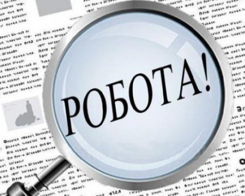 Ослабление карантина: количество запросов о работе значительно возросло